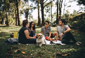 Le coliving et la colocation à nantes : une offre qui se développe